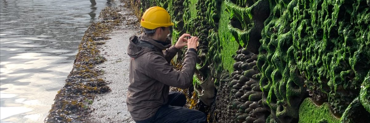 F eGOpGWQAAg28t 1200x400 - SeAlive Tiles Installations