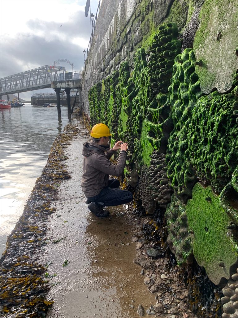 F eGOpGWQAAg28t 769x1024 - SeAlive Tiles Installations