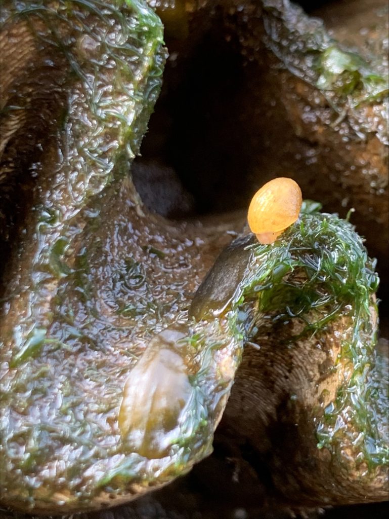 F eGOpYXoAA3AiS 769x1024 - SeAlive Tiles Installations