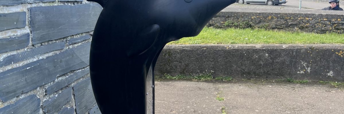 IMG 2140 scaled e1766065100647 1200x400 - Goals for 2025!