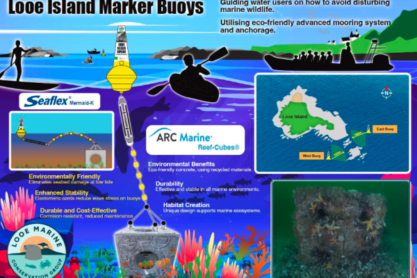 Looe Island Marker Buoys