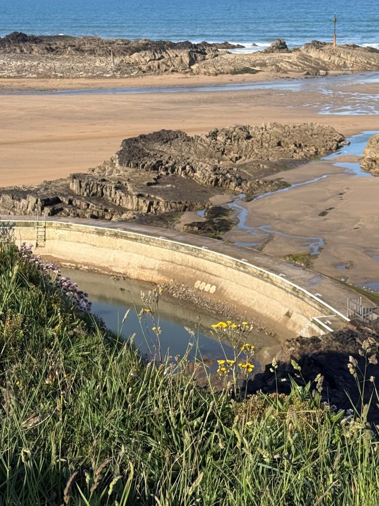 bude 768x1024 - Goals for 2025!