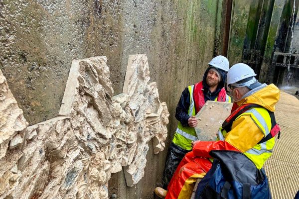 24e76875 d1b1 4209 8d57 202ccea0de2f 600x400 - More Living Sea Walls in Cornwall