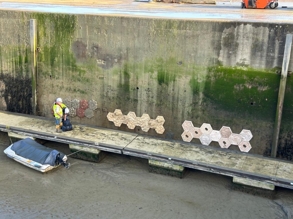 WhatsApp Image 2025 12 19 at 13.23.27 1 1024x768 - Padstow Harbour Sea Wall