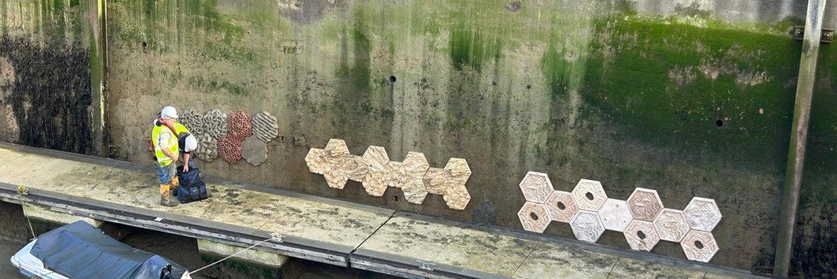 WhatsApp Image 2025 12 19 at 13.23.27 1 1200x400 - Padstow Harbour Sea Wall