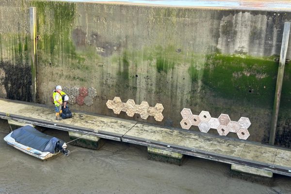 WhatsApp Image 2025 12 19 at 13.23.27 1 600x400 - Padstow Harbour Sea Wall